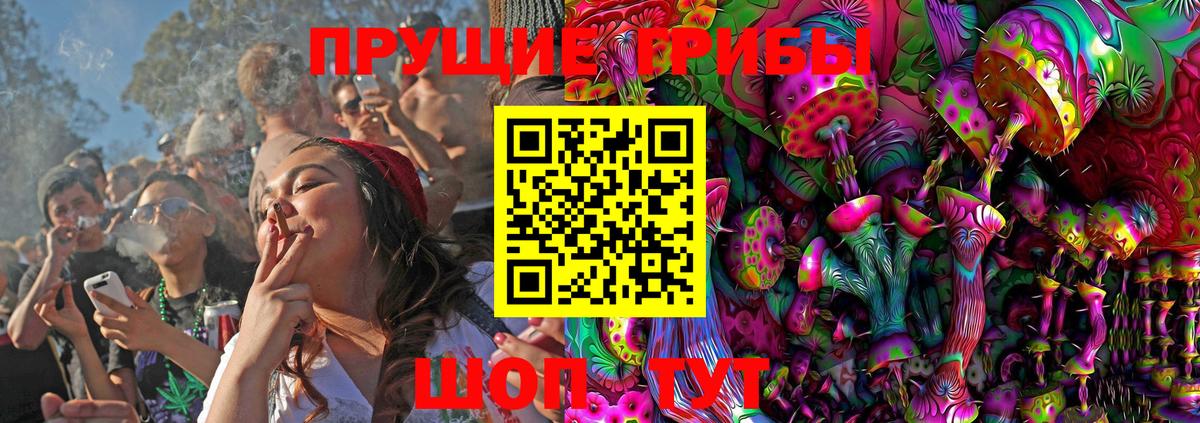 Галлюциногенные грибы мухоморы  где продают   Великий Устюг  Галлюциногенные грибы GOLDEN TEACHER 