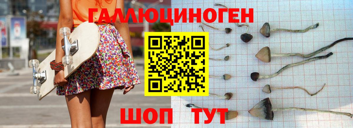 Псилоцибиновые грибы GOLDEN TEACHER  где продают   Галлюциногенные грибы Magic Shrooms  Великий Устюг  Вход с VPN 