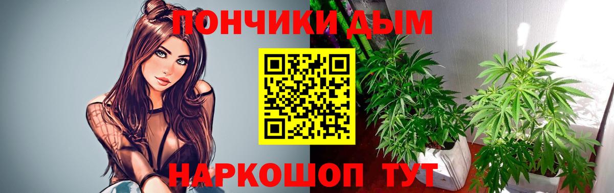 Каннабис гибрид  Каннабис гибрид  Каннабис Bruce Banner  Великий Устюг 